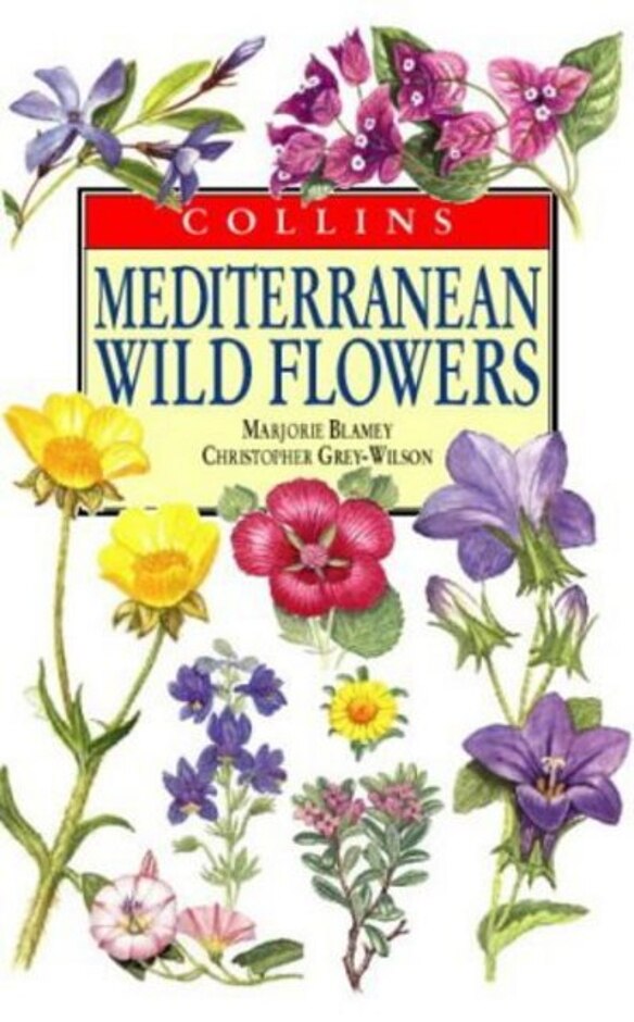 Mediterranean Wild Flowers