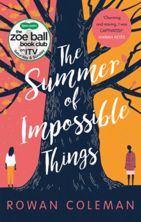 The Summer Of Impossible Things