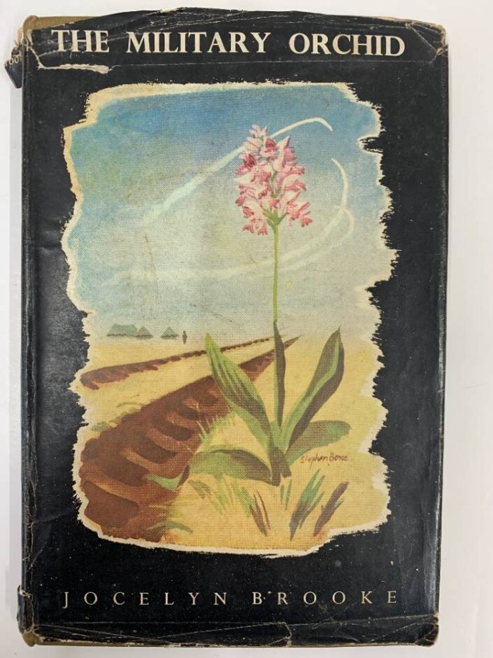 The Military Orchid