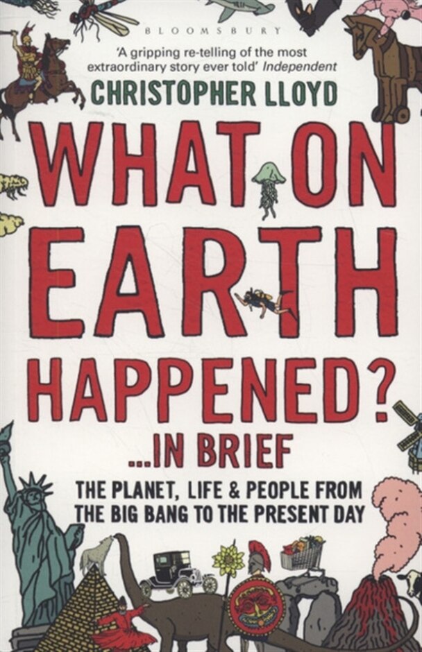 What On Earth Happened?-- In Brief