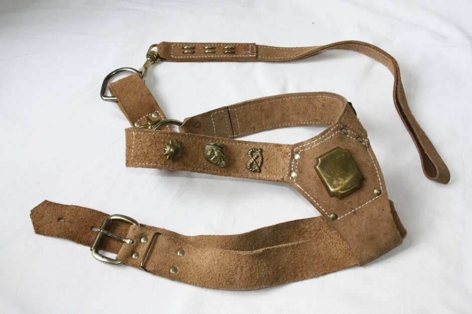 Brushed Leather Large Dog Harness And Lead With Brass Fittings