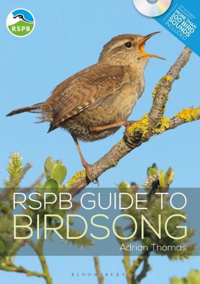 Rspb Guide To Birdsong