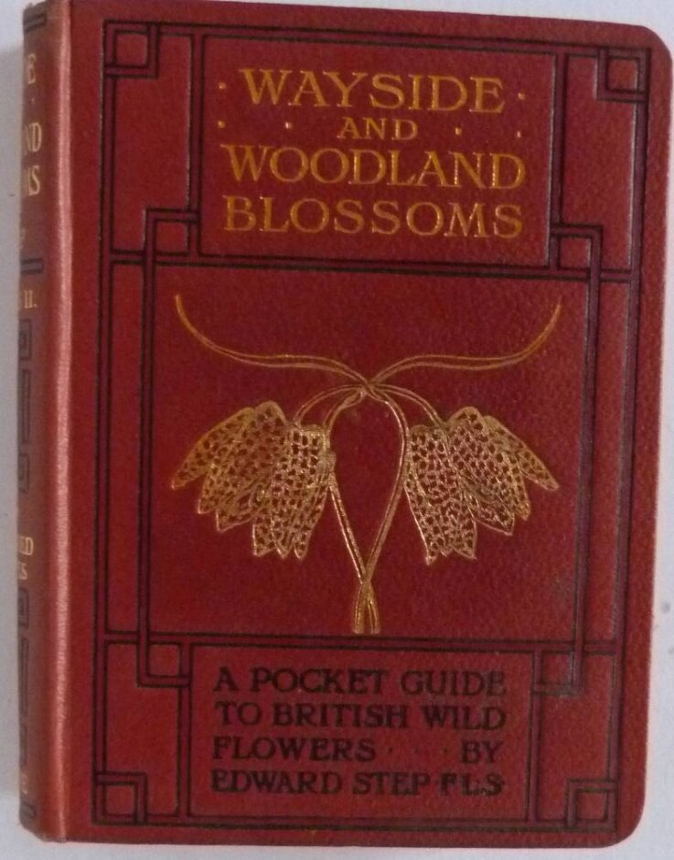 Wayside And Woodland Blossoms