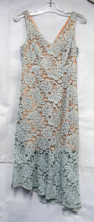 Coast Lace Occasion Dress Eau De Nil Size: 10