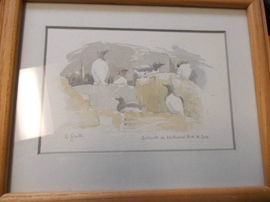 Framed Watercolour Painting By Rosanne Guille, “guillemots On Les Autelet Rocks, N Sark”