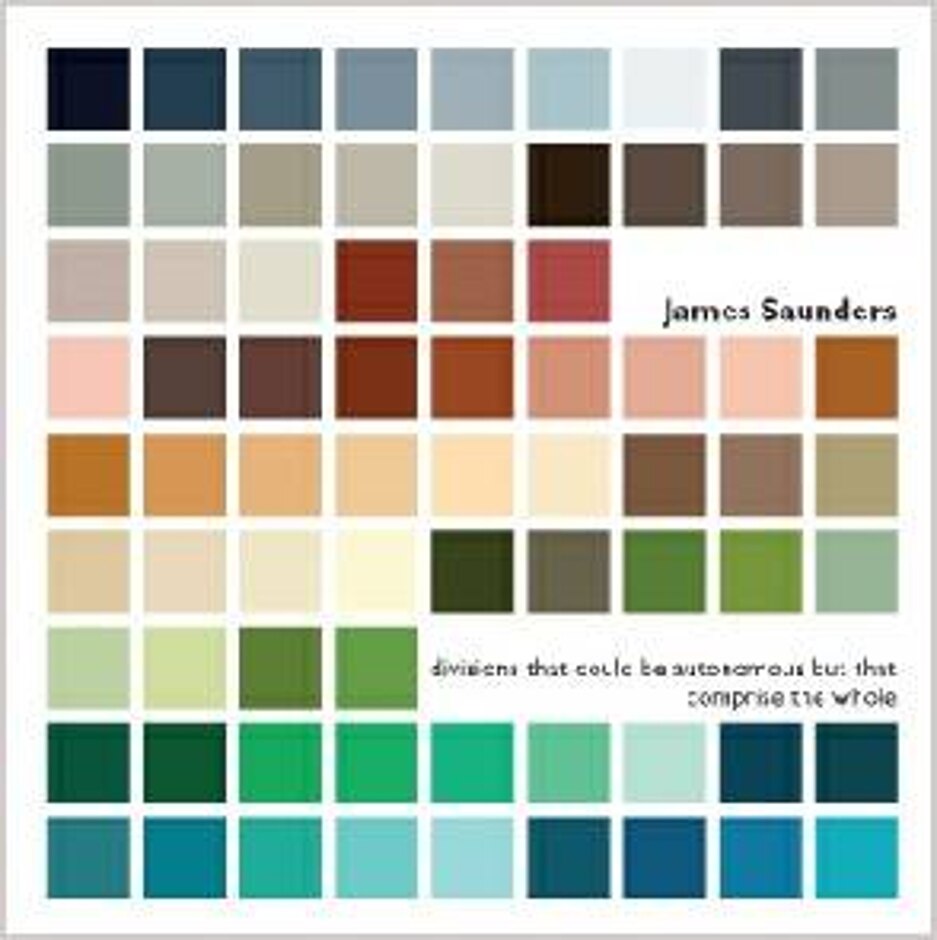 James Saunders  – Divisions That Could Be Autonomous But That Comprise The Whole