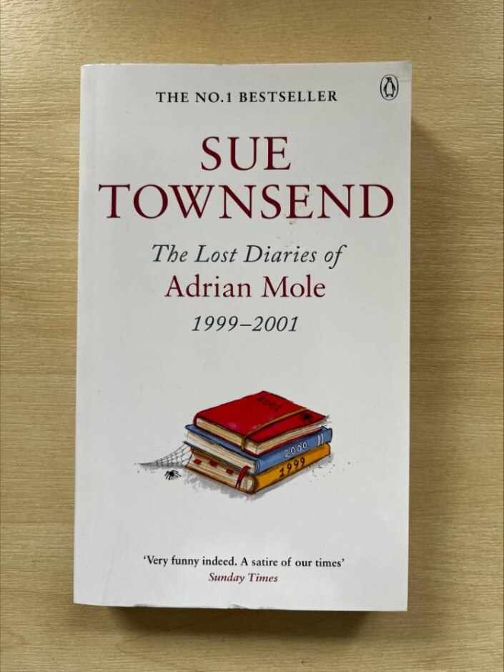 The Lost Diaries Of Adrian Mole 1999-2001